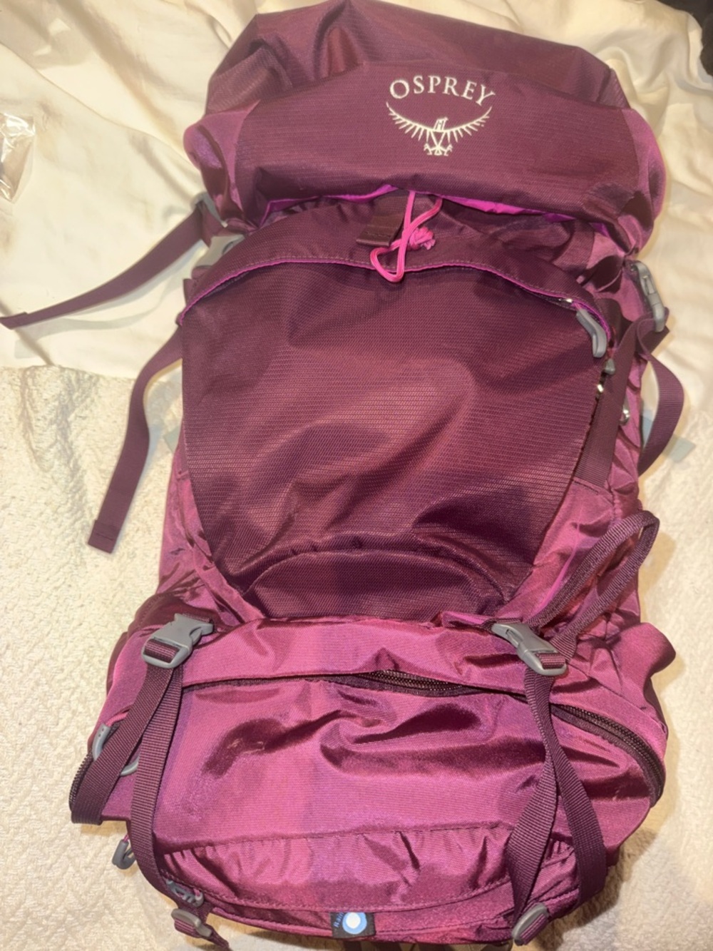 OSPREY Women's Plum/Purple Hiking Backpack